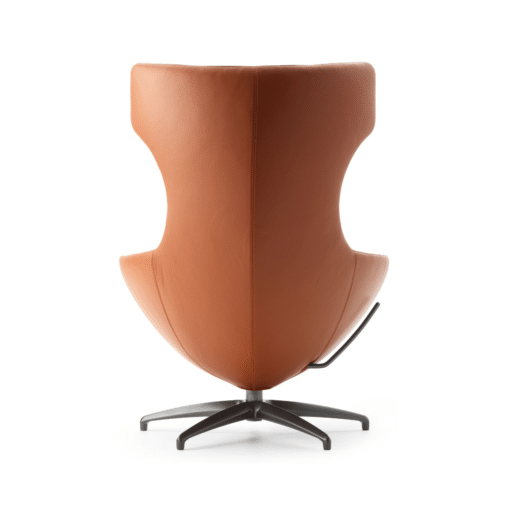 Fauteuil Caruzzo - Afbeelding 4